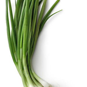 Spring Onion